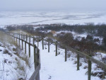Oerdduin